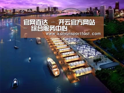 案例展示八