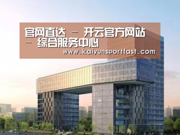 案例展示四
