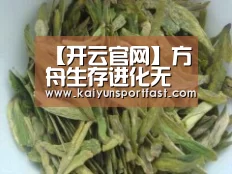 【开云官网】方舟生存进化无齿翼龙吃什么 手游无齿翼龙加点(图3) 开云视讯