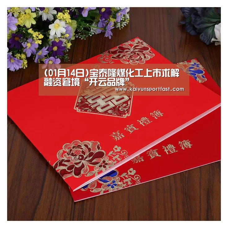 (01月14日)宝泰隆煤化工上市求解融资窘境“开云品牌”(图3) 开云体育