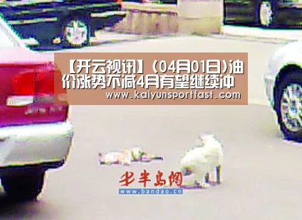 开云体育