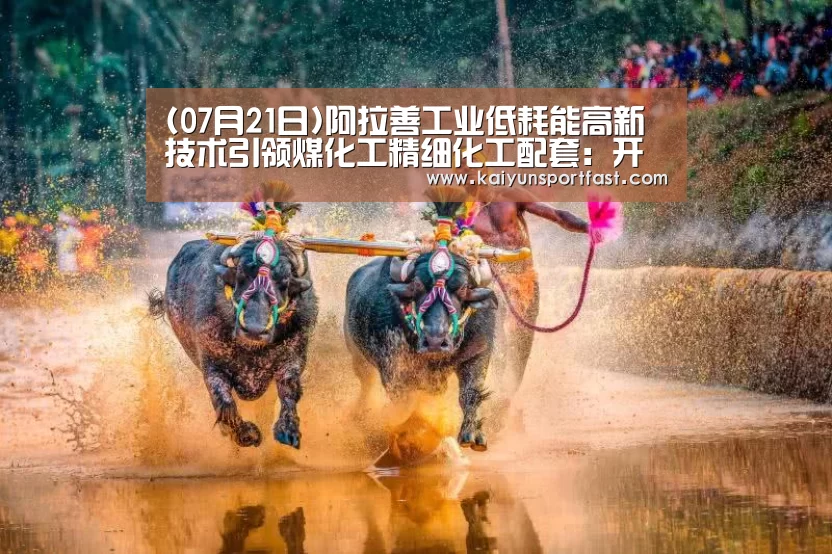 (07月21日)阿拉善工业低耗能高新技术引领煤化工精细化工配套:开云体育(图2) 开云体育