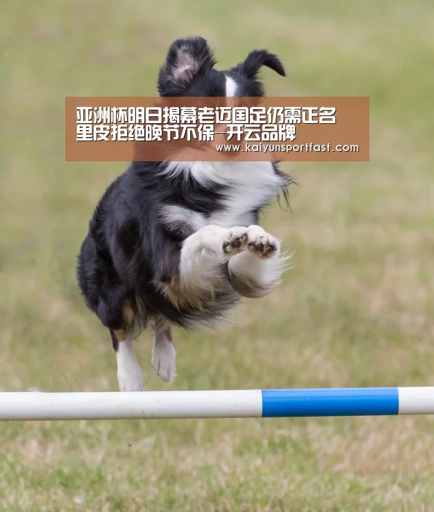开云体育
