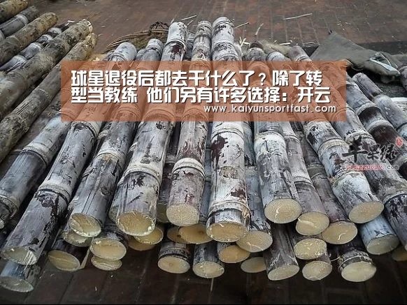 开云官网